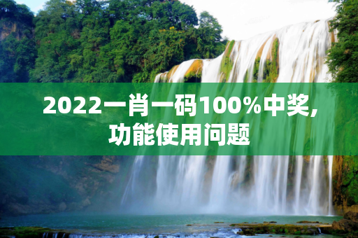 2022一肖一码100%中奖,功能使用问题