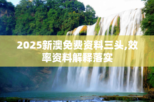 2025新澳免费资料三头,效率资料解释落实
