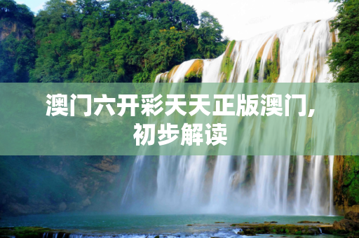 澳门六开彩天天正版澳门,初步解读