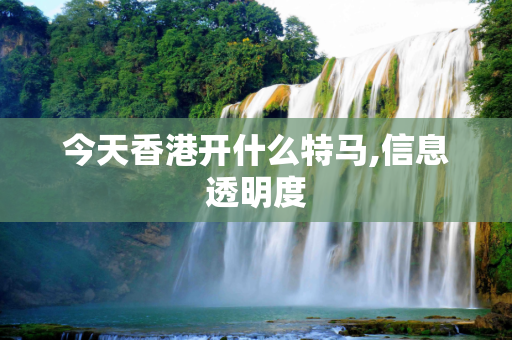 今天香港开什么特马,信息透明度